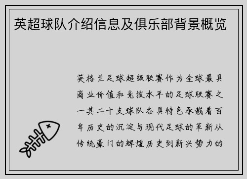 英超球队介绍信息及俱乐部背景概览